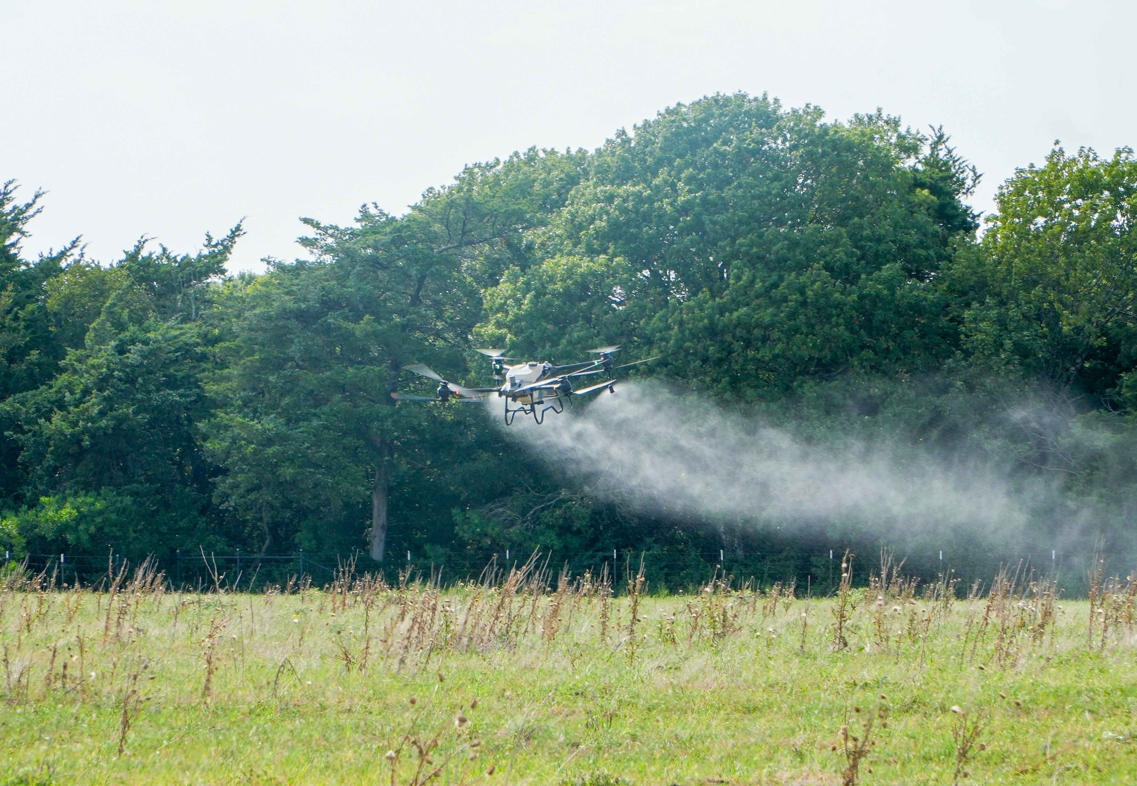 Forage and Hay Field Management